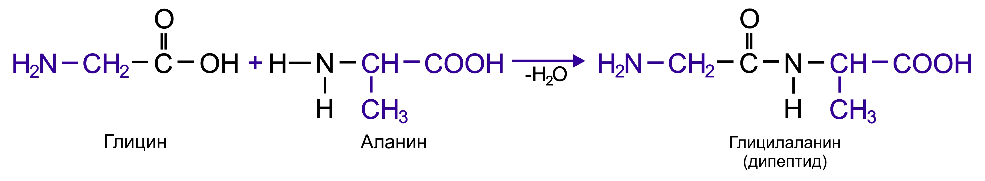 Схема реакции образования трипептида из аминоуксусной кислоты