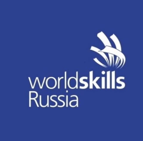 VII      (WorldSkills Russia)  2021